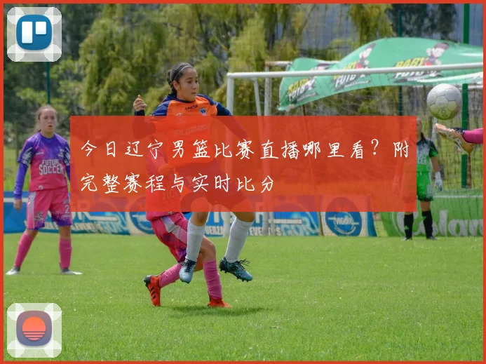 今日辽宁男篮比赛直播哪里看？附完整赛程与实时比分