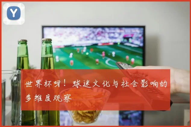 世界杯呀!球迷文化与社会影响的多维度观察