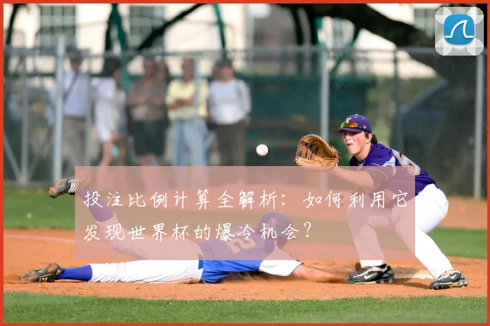 投注比例计算全解析：如何利用它发现世界杯的爆冷机会？