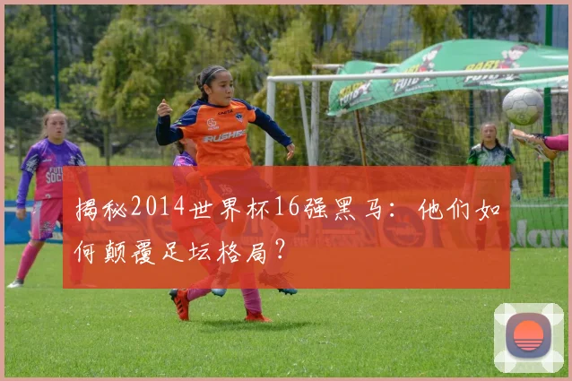 揭秘2014世界杯16强黑马：他们如何颠覆足坛格局？